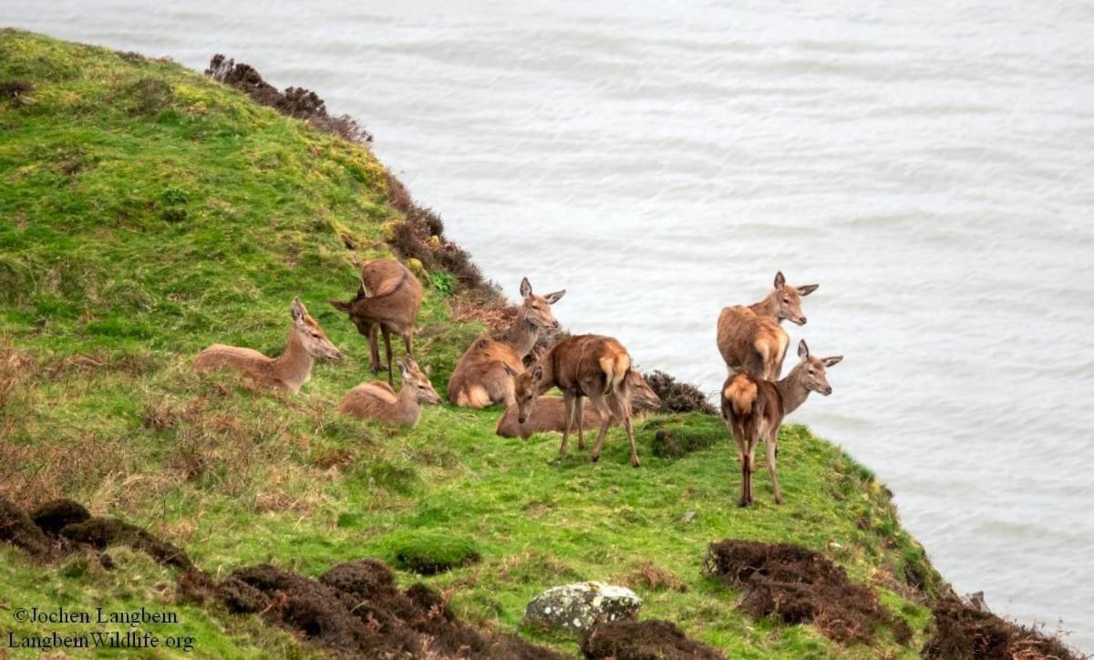 Exmoor Bnb In Withypool On Two Moors Way Ngoại thất bức ảnh