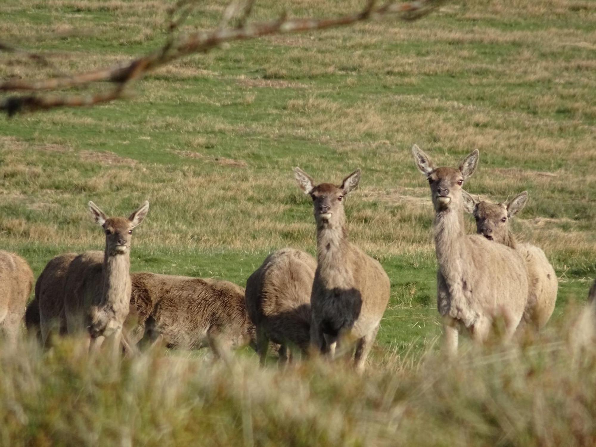 Exmoor Bnb In Withypool On Two Moors Way Ngoại thất bức ảnh