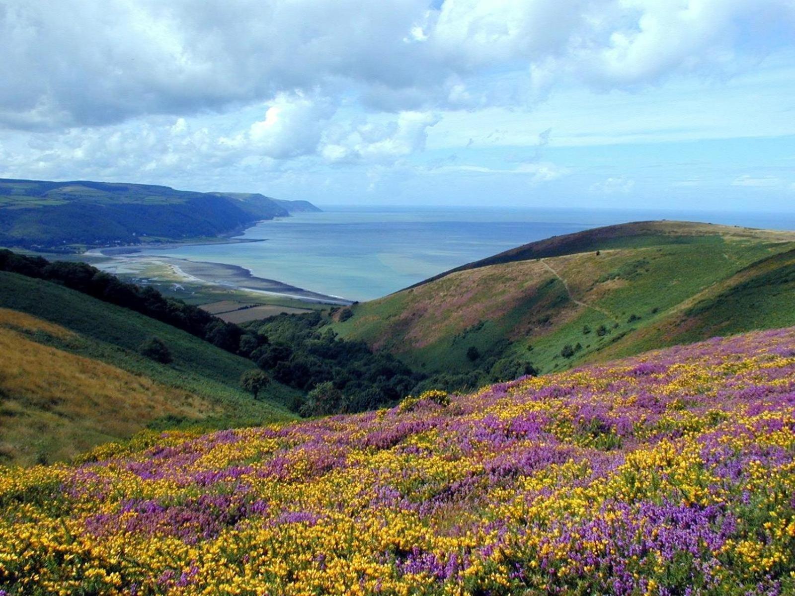 Exmoor Bnb In Withypool On Two Moors Way Ngoại thất bức ảnh