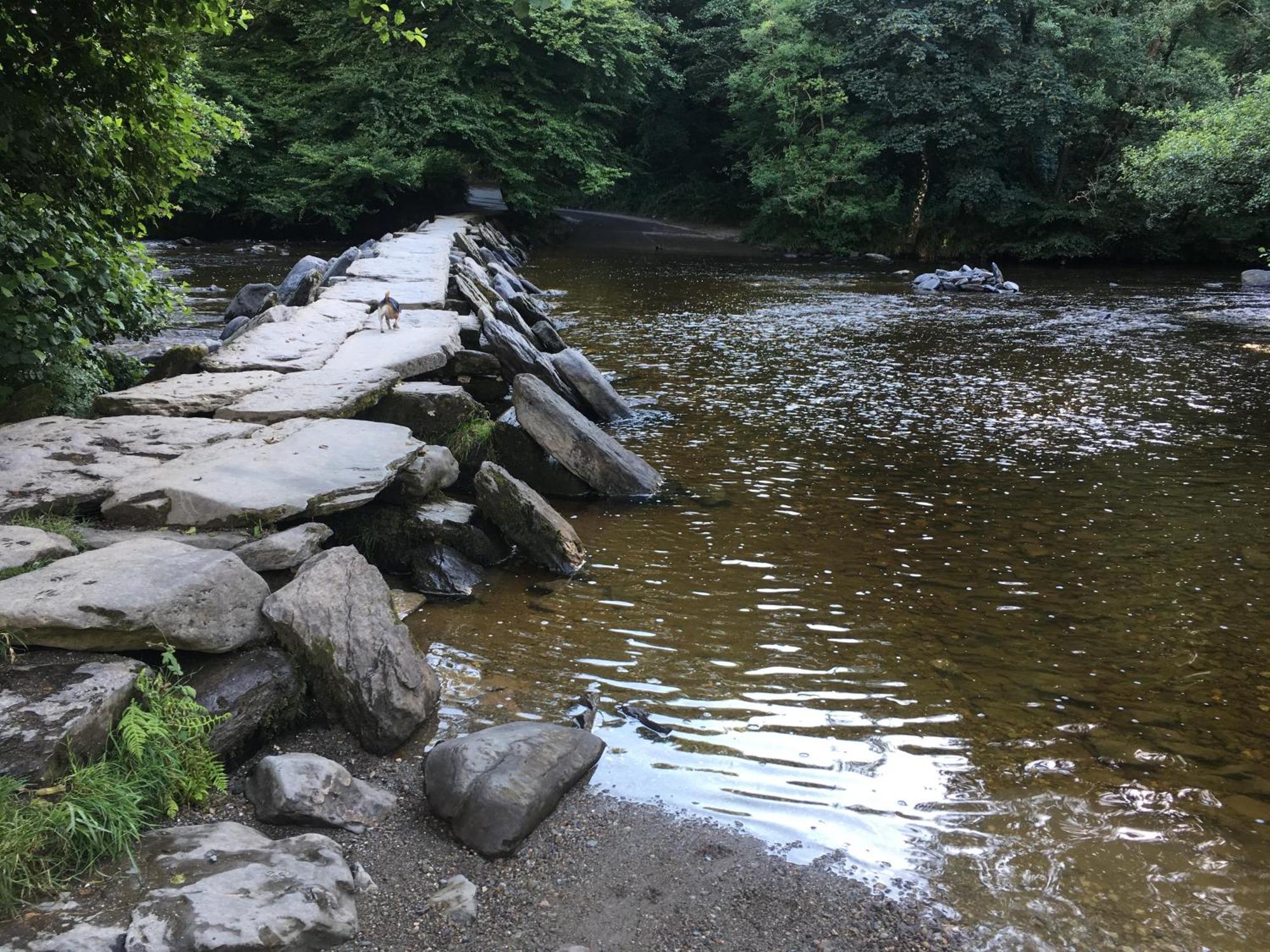 Exmoor Bnb In Withypool On Two Moors Way Ngoại thất bức ảnh
