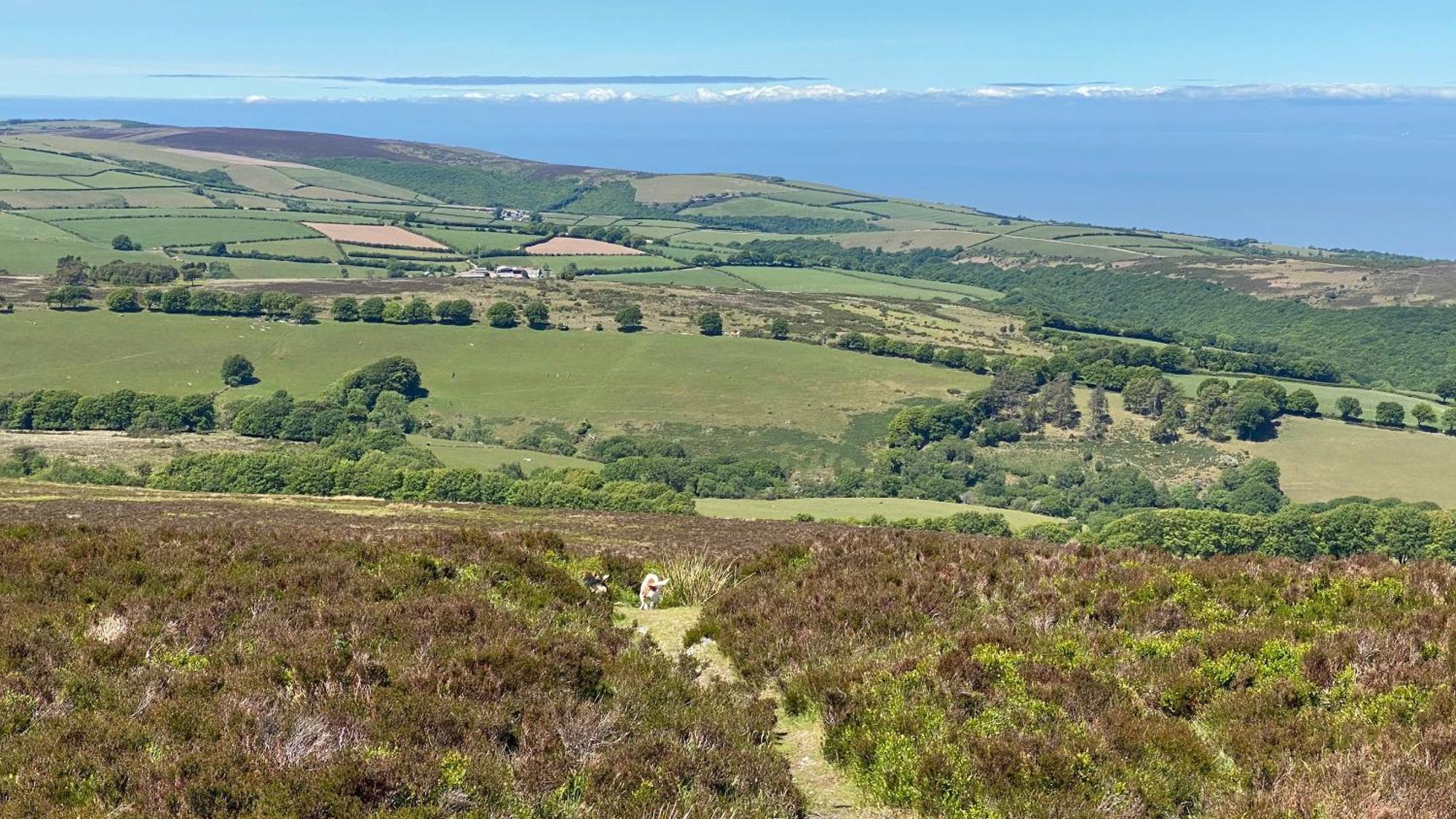 Exmoor Bnb In Withypool On Two Moors Way Ngoại thất bức ảnh